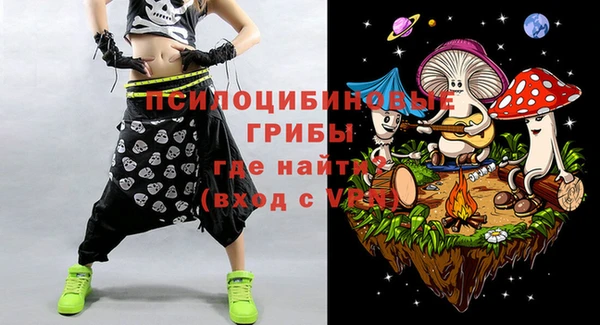 a pvp Абаза