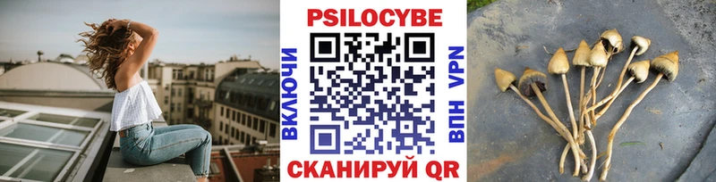 Галлюциногенные грибы мухоморы  darknet Telegram  Новое Девяткино 